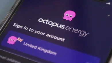 Octopus Energy Login: Fast Admittance to Your Record On the Web