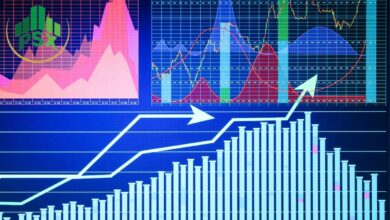 EEE Share Price Forecast: What to Expect This Year